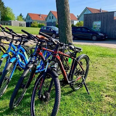 Mueritzzeit In Roebel An Der Mueritz *