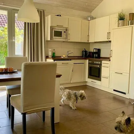 Mueritzzeit In Roebel An Der Mueritz Ferienhaus