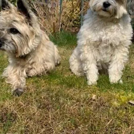 Ferienhaus Mueritzzeit In Roebel An Der Mueritz Marienfelde