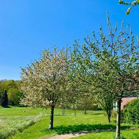 Mueritzzeit In Roebel An Der Mueritz