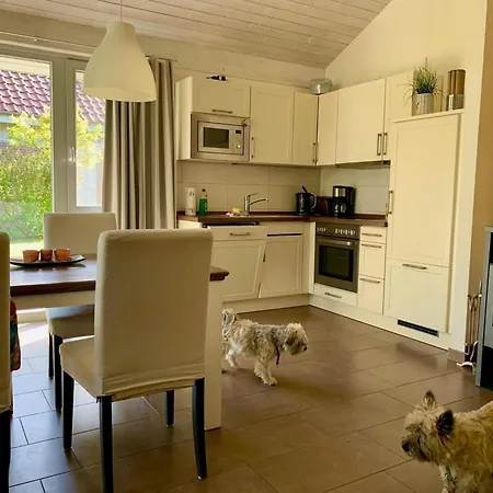 Mueritzzeit In Roebel An Der Mueritz *