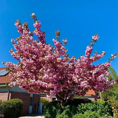 Mueritzzeit In Roebel An Der Mueritz