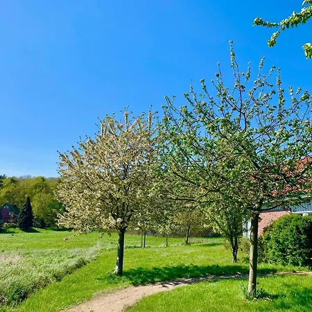 Mueritzzeit In Roebel An Der Mueritz Сasa de vacaciones Marienfelde