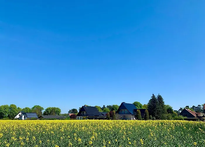Mueritzzeit In Roebel An Der Mueritz Marienfelde