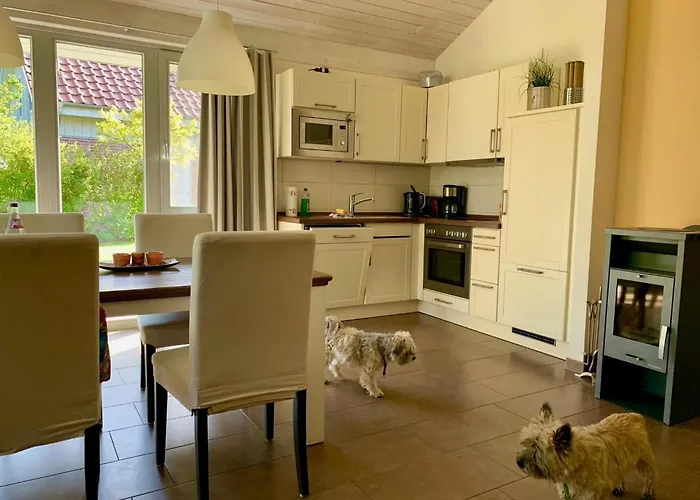Mueritzzeit In Roebel An Der Mueritz *