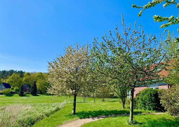Mueritzzeit In Roebel An Der Mueritz Feriehus Marienfelde